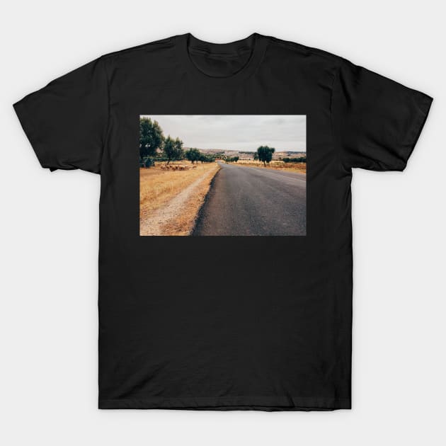 Herd of Sheep Walking Towards Fez (Morocco) T-Shirt by visualspectrum